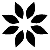 Palama Technologies logo - Similar company to Ceen.Studio