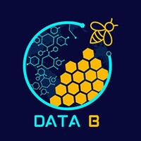Data B logo - Similar company to Exim Data Mining