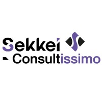 Consultissimo - Silverteam logo - Similar company to Groupe Lynkeos - Silverteam