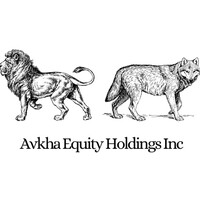 Avkha Equity Holdings Inc logo - Similar company to Hivesight