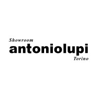 Antoniolupi_torino logo - Similar company to Sam Sannia Design