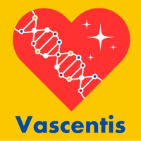 Vascentis logo - Similar company to Berrijam