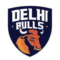 Delhi Bulls logo - Similar company to Milano By Danube