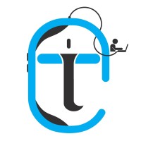 Times IT logo - Similar company to Atg - The Human Intelligence