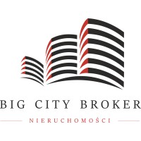 BIG CITY BROKER logo - Similar company to 313C