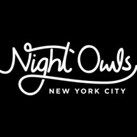 Night Owls ™ logo - Similar company to Nightowl Tech Solutions Pvt. Ltd.