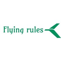 Flying Rules logo - Similar company to Gassotech Solutions Private Limited