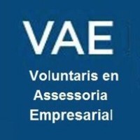 VAE Voluntaris en Assessoria Empresarial logo - Similar company to Wekow Coworking