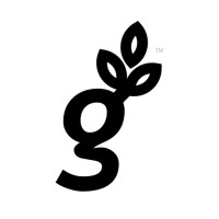 Genesis Offices