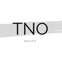 Grupo TNO logo - Similar company to Dindong