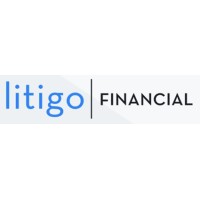 Litigo Financial logo - Similar company to Litfincon