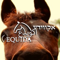 אקווידע Equida اكويدع