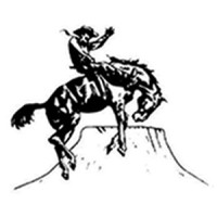 Cisco Fine Art logo - Similar company to Cisco Smart Tech