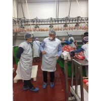 Frozen Chicken Approved SIF - Brazil Origin logo - Similar company to Kj Poultry