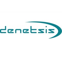 Denetsis Danışmanlık Gözetim ve Yazılım Hizmetleri LTD. ŞTİ. logo - Similar company to Ankyra Analytics
