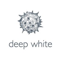Deep White logo - Similar company to Deep White