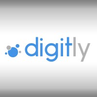Digitly Solutions logo - Similar company to Nxtceo India
