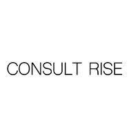 CONSULT RISE logo - Similar company to Consult Solutions