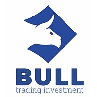 Bull Trading Investment logo - Similar company to Ribsweb