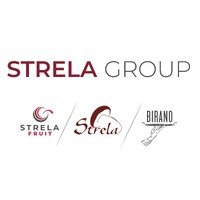 Strela doo logo - Similar company to Stanić