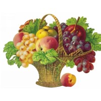 Fruit Basket Inn logo - Similar company to Fruit Basket Co