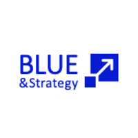 Blue&Strategy logo - Similar company to La Bonne Distribution
