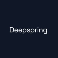 Deepspring.ai logo - Similar company to Deepspring
