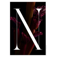 NARCISSE MAGAZINE logo - Similar company to Éditions Diateino