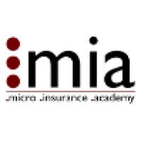 Micro Insurance Academy logo - Similar company to Lighthouse Pmc
