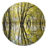 Janusz Wrobel Art logo - Similar company to Petroff Gallery