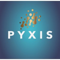PYXIS - Talent Mng Consulting | Wellbeing Services logo - Similar company to Studio Brusadelli