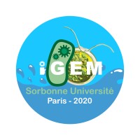 iGEM Sorbonne Université 2020 logo - Similar company to Microbiologie Tests Services