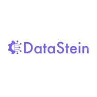 DataStein logo - Similar company to Hellotask | Blue-Collar Job Platform