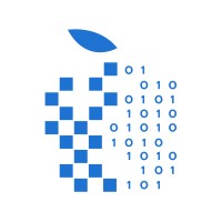 Digital Olmazor logo - Similar company to Spaceborne