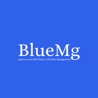 Blue Management - BlueMg logo - Similar company to Bluemara Solutions