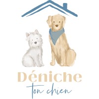 Déniche Ton Chien