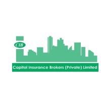 Capitol Insurance Brokers logo - Similar company to The Makesure Group