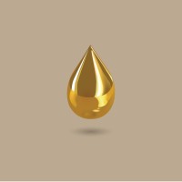 MansaMusa.ae logo - Similar company to Gedco