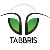 Tabbris Consulting logo - Similar company to Kiplan