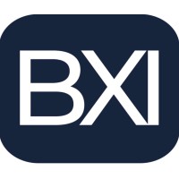 BridgeX International logo - Similar company to Groupe G&D