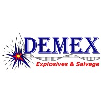 DEMEX International Inc logo - Similar company to Euromet Sa