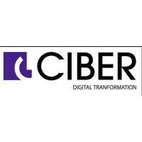 Ciber Digital Transformation logo - Similar company to Ciber