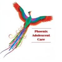 Phoenix AC Family Assessments logo - Similar company to S & G Assessments