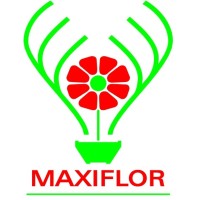 Maxiflor - Produção e Comercialização de Plantas, Importação e Exportação, Lda. logo - Similar company to Global Traders - Importação, Exportação E Consultoria De Negócios