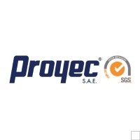 Proyec SAE logo - Similar company to Big Center