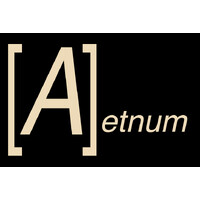 Aetnum logo - Similar company to Tpm Solutions Llc