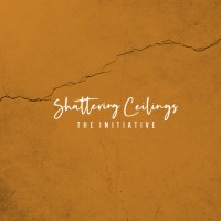 Shattering Ceilings, The Initiative logo - Similar company to 360 Bridge Llc