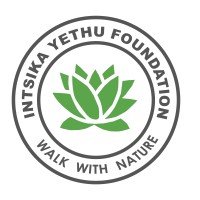 iNtsika Yethu Foundation logo - Similar company to Kuhluka Foundation