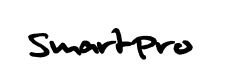 SmartPro vof logo - Similar company to Smartpro Llc