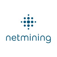 Netmining logo - Similar company to Ignitionone
